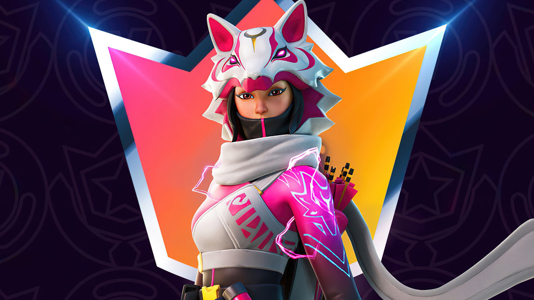 Fortnite Account for Sale / 225 Skins / Renegade Raider / Legendary Skins / 9300 Vbucks PS4