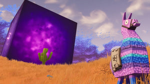 Fortnite Account for Sale / All Skins / Black Knight / Legendary Skins / 30 Million Vbucks (Nintendo Switch)