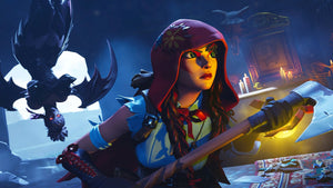 Fortnite - 240 Skins Pack Add-On (Xbox One/X/S)