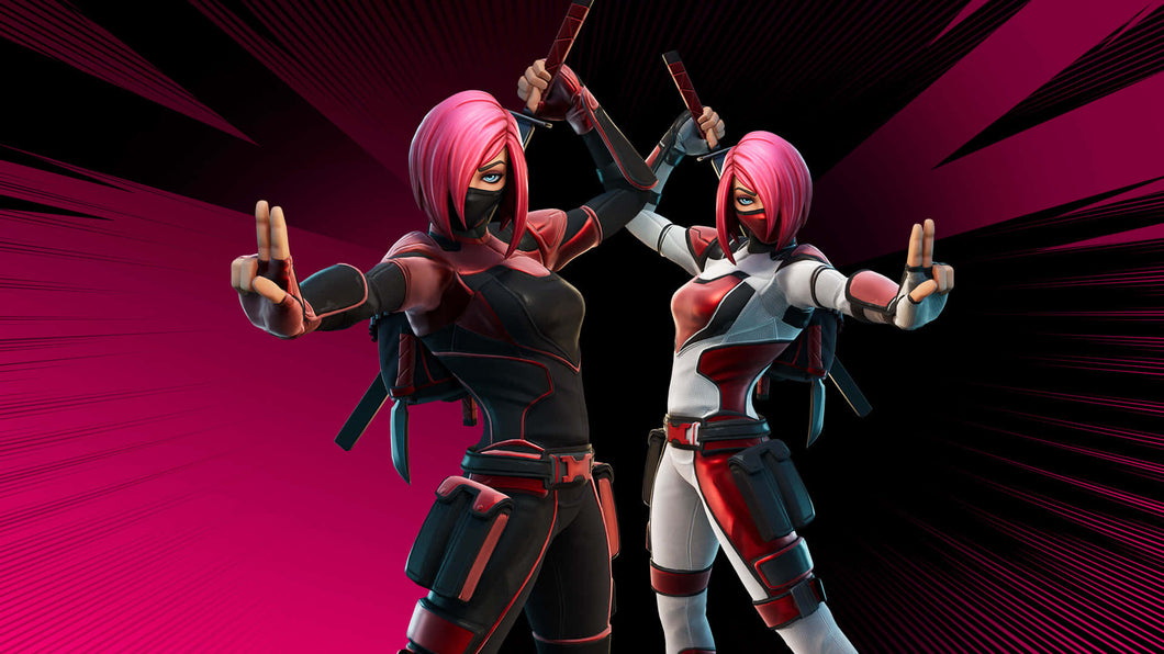 Fortnite Account for Sale / 579 Skins / Renegade Raider / Legendary Skins / 28500 Vbucks PS5