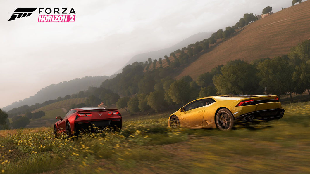 Forza Horizon 2 - Modded account + Mod Menu (IOS)