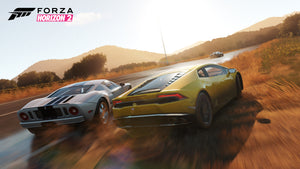 Forza Horizon 2 Account with All Cars +250 Million Credits