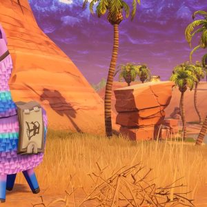 Fortnite - Modded Account + All Skins + 50M V-Bucks (IOS)