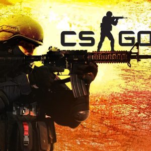 CS:GO - Premium Account + 300 Skins (PC)