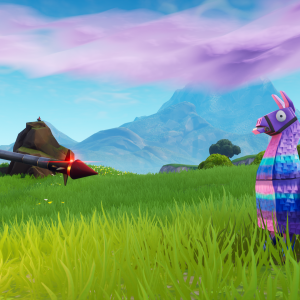 Fortnite - Modded Account + Mod Menu (PC)