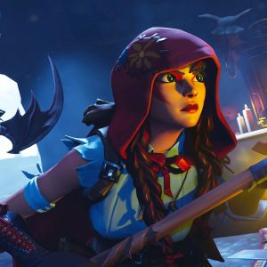 Fortnite - 240 Skins Pack Add-On (Nintendo Switch)