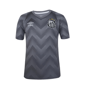 Santos 24/25 Goalkeeper Jersey - Gray - Fan Version