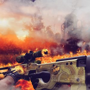 CS:GO - Silver 1 Account + 583 Skins (MacOS)