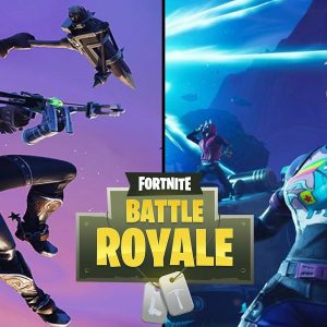 Fortnite - 200 Skins Pack Add-On (PC)