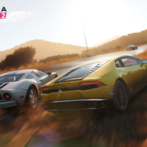 Forza Horizon 2 Account with All Cars +300 Million Credits
