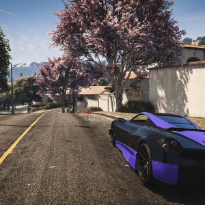 GTA 5 Online - Premium Account Rank 8000 + $100 Billion (PC)