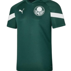 Palmeiras 23/24 Training Jersey - Green - Fan Version