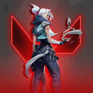 Valorant Account Korea Gold +260 Skins - Premium Account