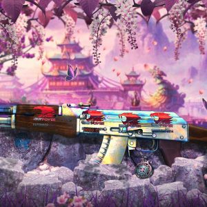 CS:GO - Modded Account (Nintendo Switch)