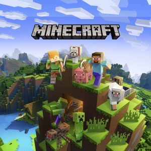 minecraft accounts for sale, mods