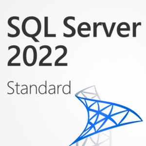 Microsoft SQL Server 2022 Standard Microsoft Key GLOBAL