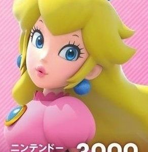 Nintendo eShop Card 3000 JPY Key JAPAN modded account