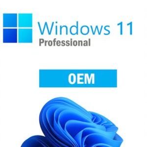 Microsoft Windows 11 OEM Pro Key (Clean Install Only - No Upgrade) GLOBAL