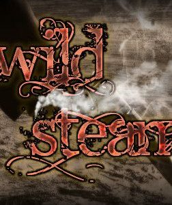 RPG Maker VX Ace - Wild Steam Resource Pack (DLC) (PC) Steam Key GLOBAL