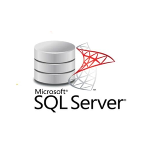 Microsoft SQL Server 2025 Standard Key GLOBAL